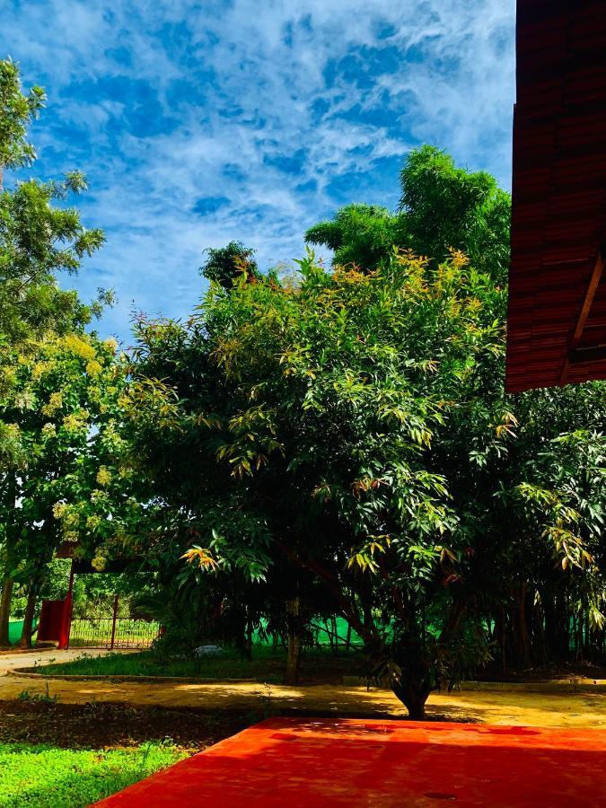 Eco Farm Vila Bangalore Exterior foto